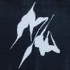 Magnus Westwell Profile Image