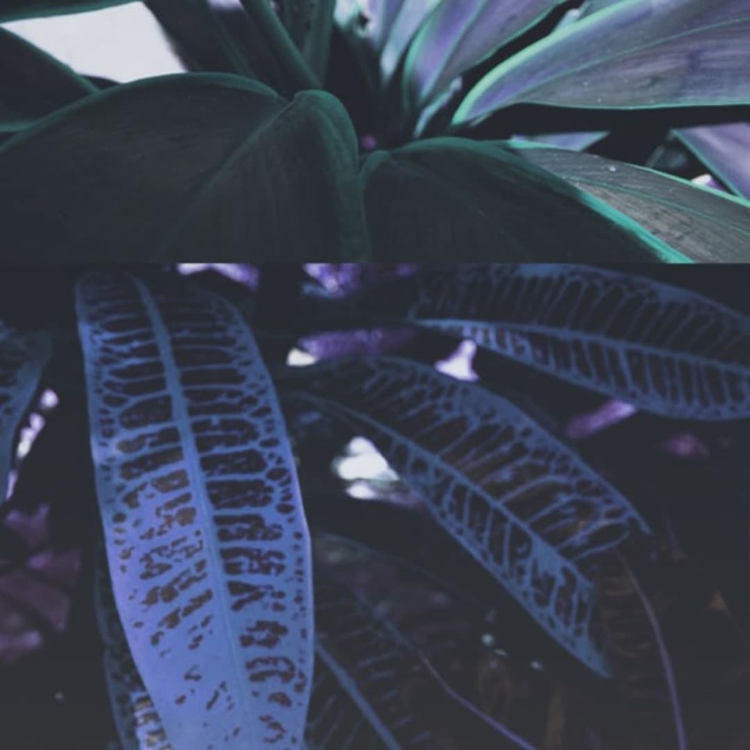 Mood Change Profile Image