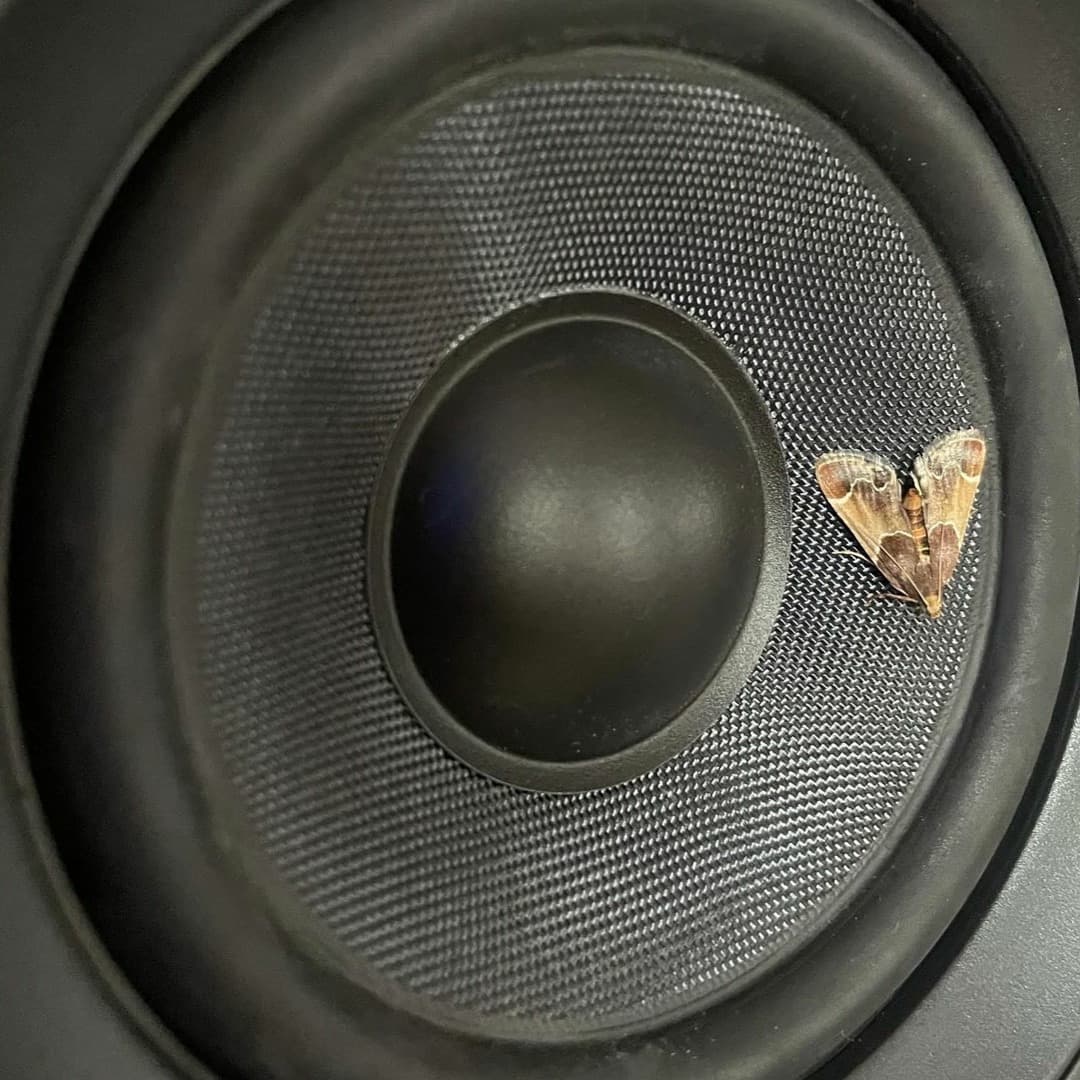 DJ Chooch Profile Image