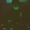 Shjva Profile Image