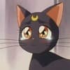 Princess Elf Bar Profile Image