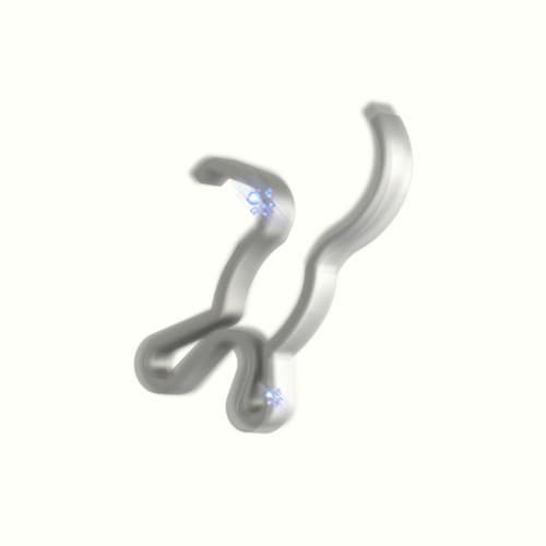 SOFT CLIP portrait