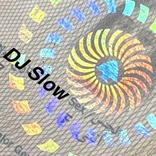 dj slowsex Profile Image