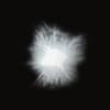 Studio Natura Profile Image