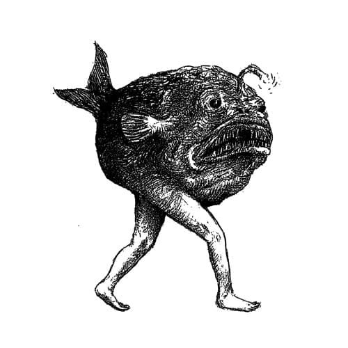 Ciao Mare Profile Image