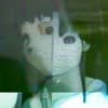 makaya Profile Image