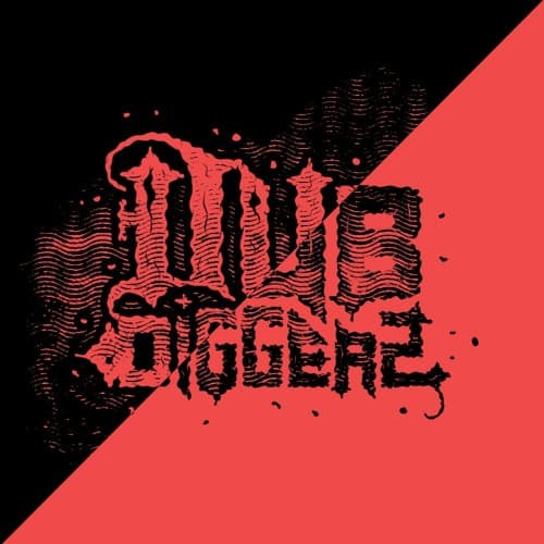 DubDiggerz Profile Image