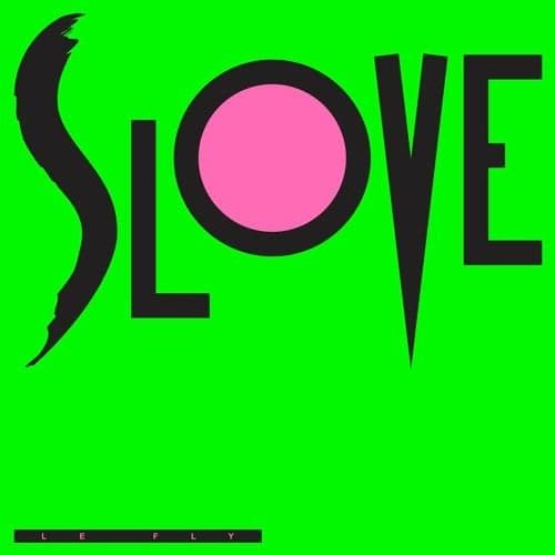 Slove portrait