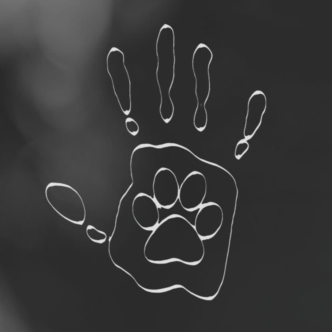 Sasha Dog Profile Image