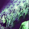 WTVR Profile Image