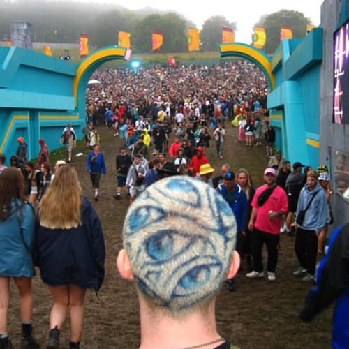 DENCH Profile Image