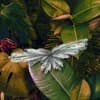Montezuma (DE) Profile Image