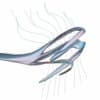 pH (12) Profile Image