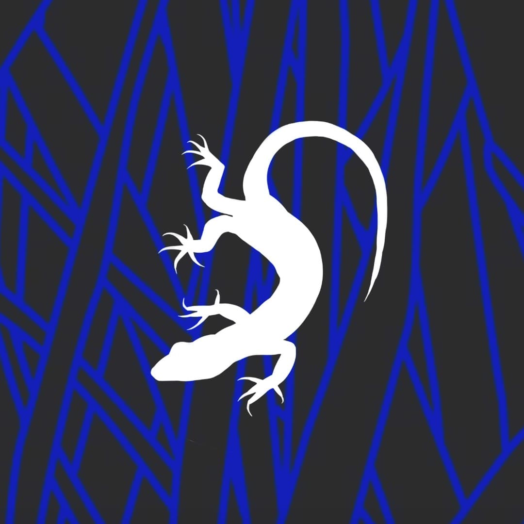 Héliotropisme: Curuba s/ Solarsoundsystem event artwork