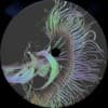 Artmospheric Festival 2011 event artwork