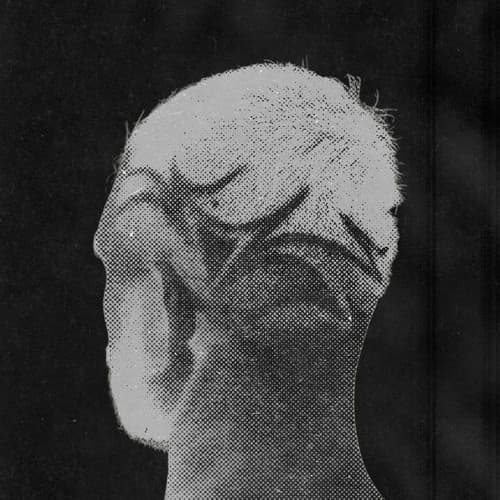 lyrio. Profile Image