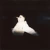 SOMNE Profile Image