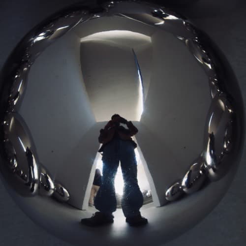 LLY Profile Image