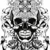 luxation.p Profile Image