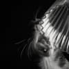 Pasiphae Profile Image