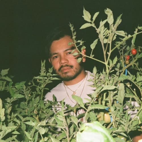 DJ Houseplants Profile Image