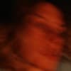 Vlada Profile Image