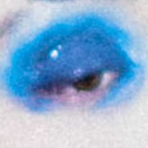 FARWARMTH Profile Image