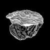 Rey Colino Profile Image