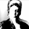 Van Valen Profile Image