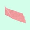 Without Leaves Profile Image