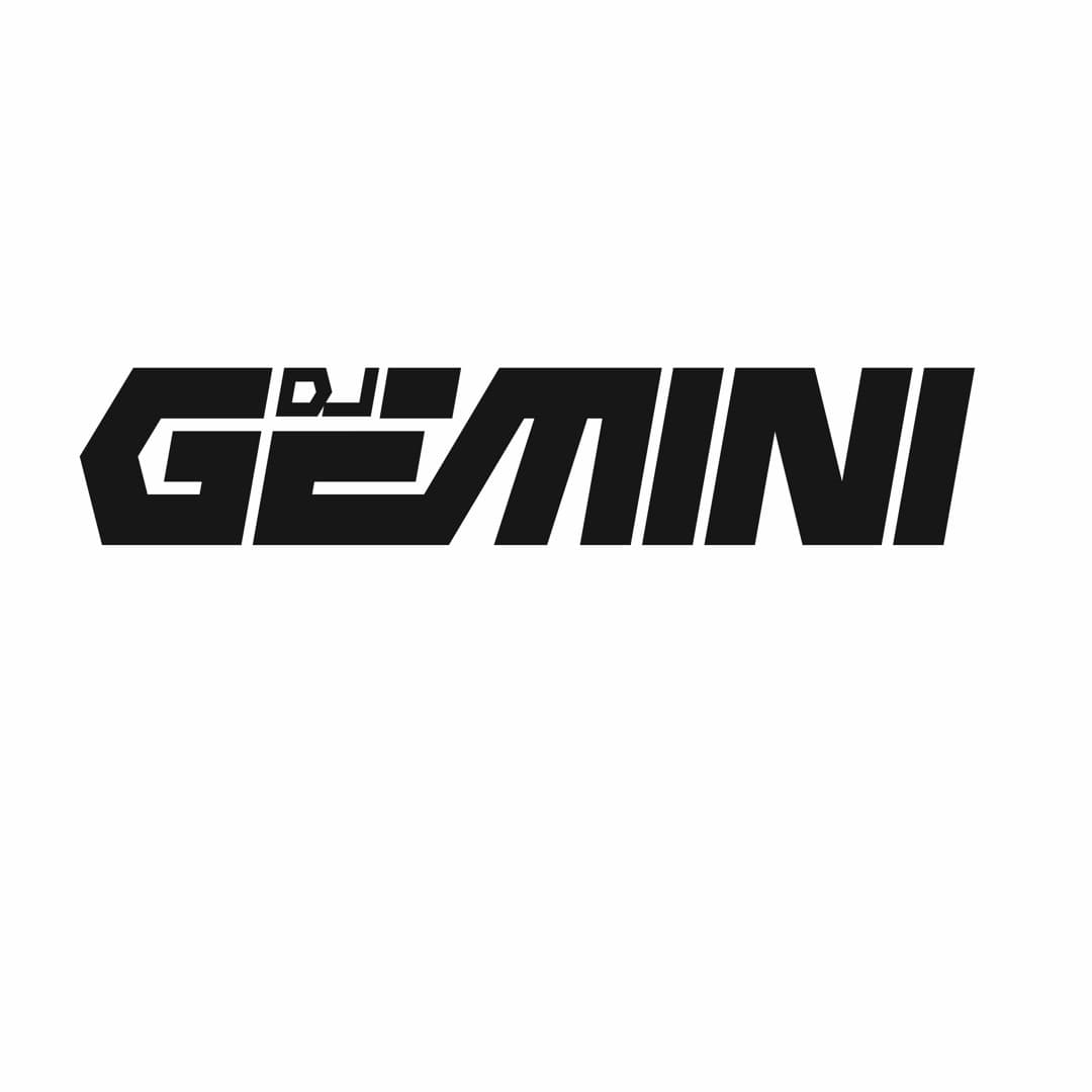 DJ Gemini Profile Image