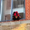 MVCOKO Profile Image
