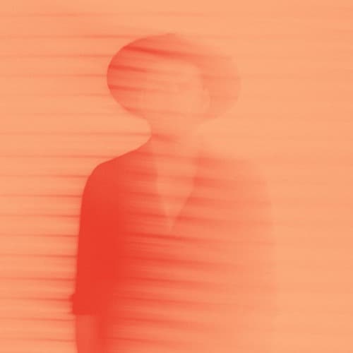 Monolink portrait