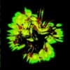 Xexa Profile Image