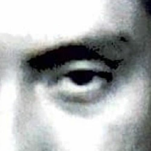 WHOTHEFUCKATEMYMOONPIE portrait
