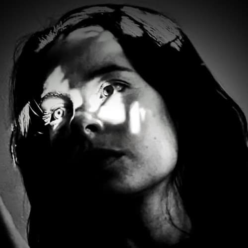 triximo portrait
