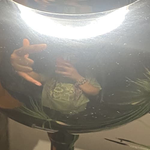 mamba.exe Profile Image