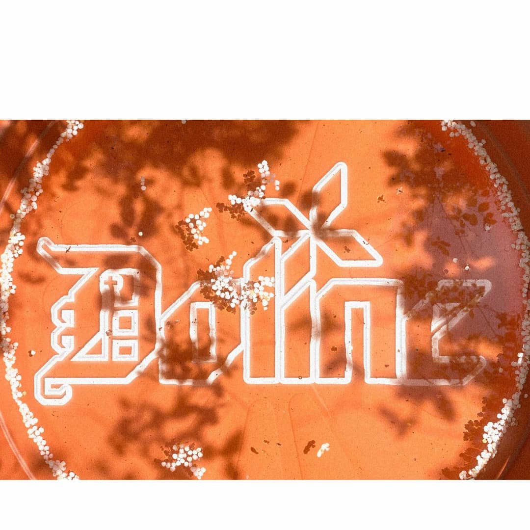 Doline Profile Image