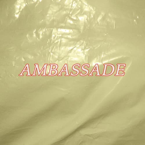 De Ambassade portrait