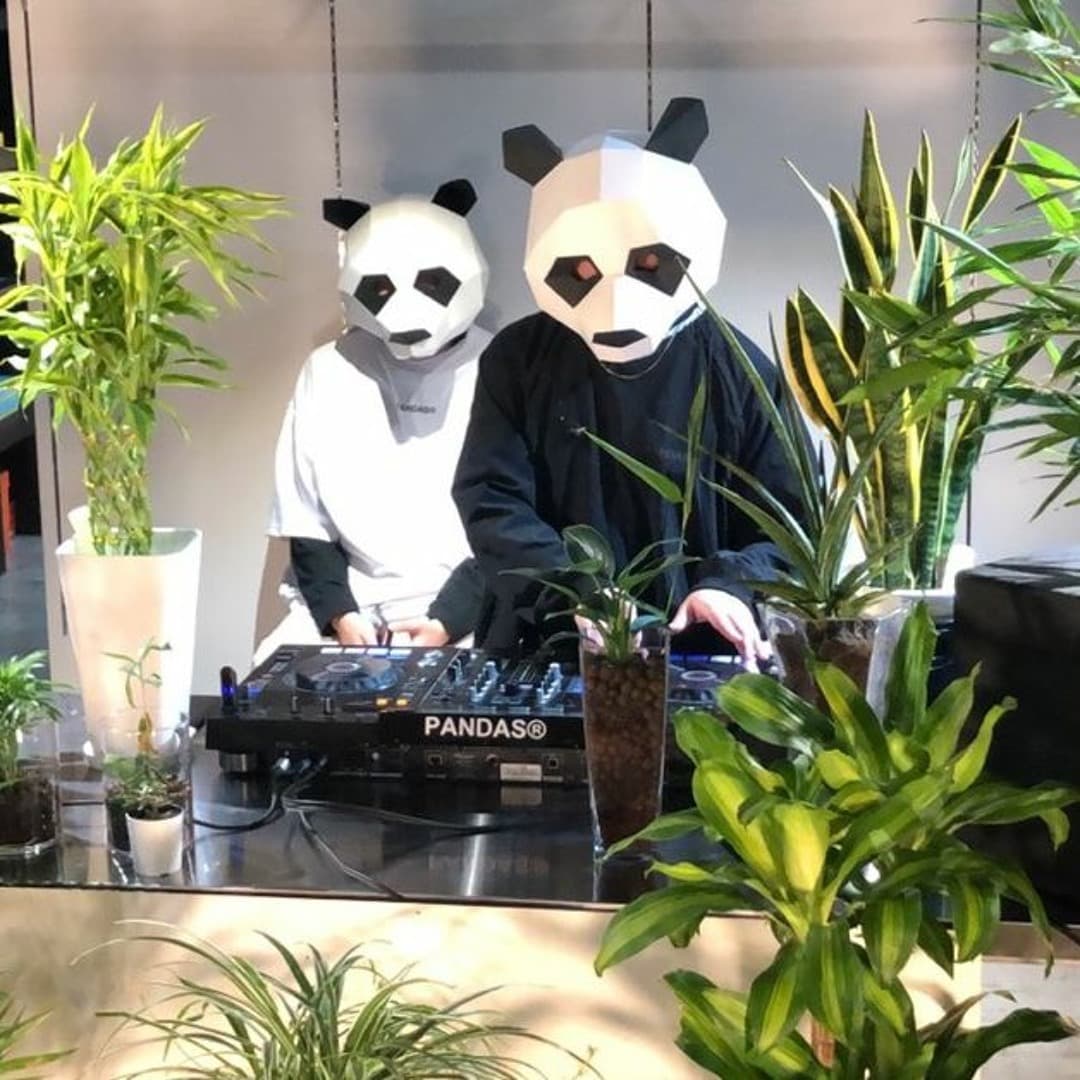 PANDAS