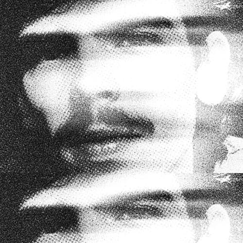Vaccaro portrait