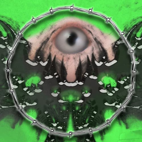 Try Harder Profile Image