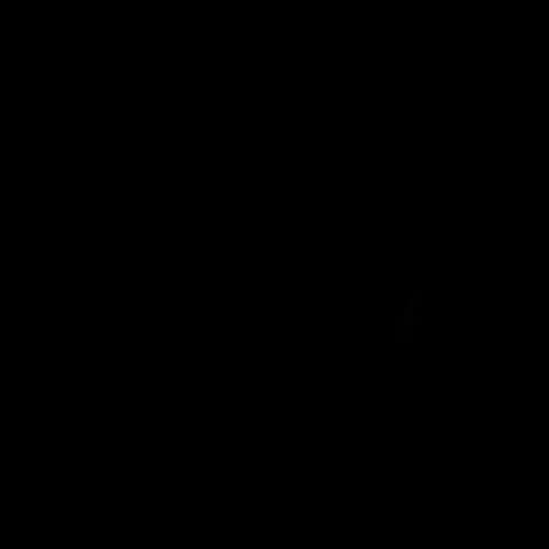 S280F portrait