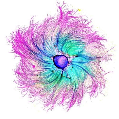 moreit Profile Image