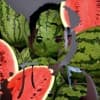 stud1nt Profile Image