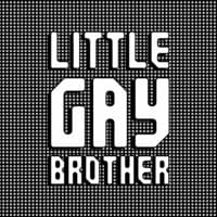 Little Gay Brother