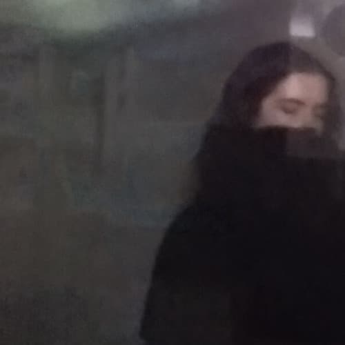 Gribs Profile Image
