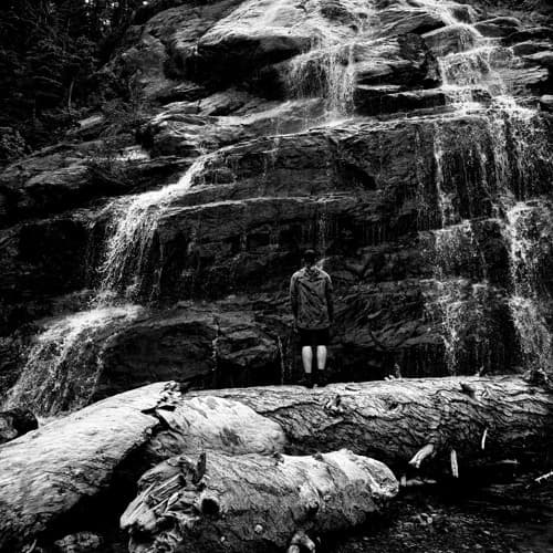 Seth Hollender
