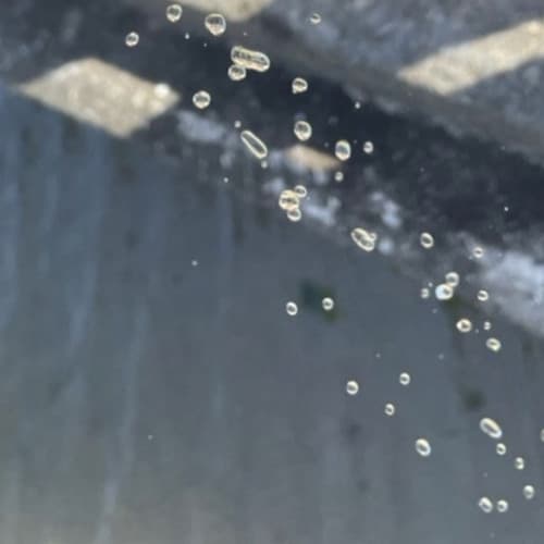 imazutsubasa Profile Image