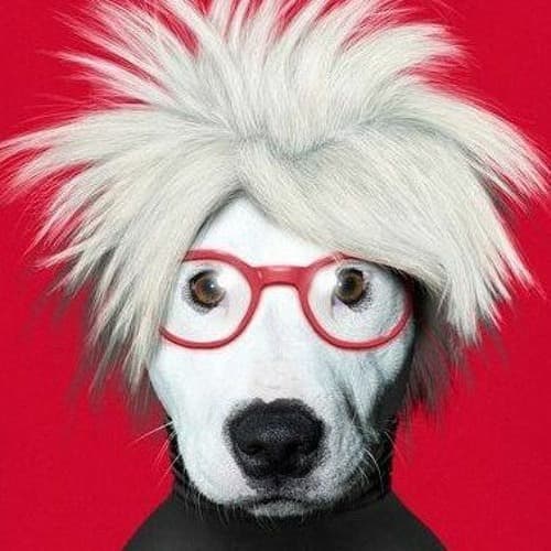 Stretford Dogs Club portrait